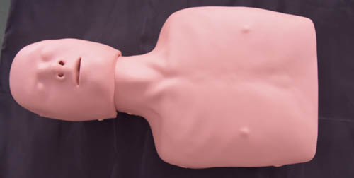 HY-CPR120  簡易心肺復(fù)蘇訓(xùn)練模型